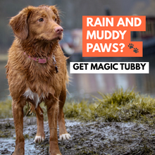 Load image into Gallery viewer, Magic Tubby™ - The best paw cleaner