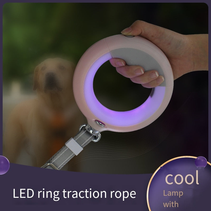 Magic Leash: Light your walks