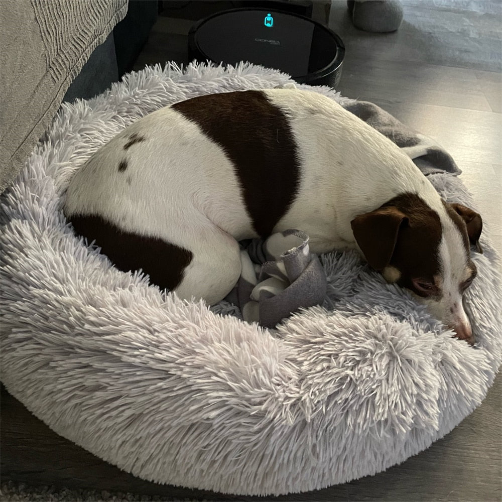 Fluffy: Dog calming bed