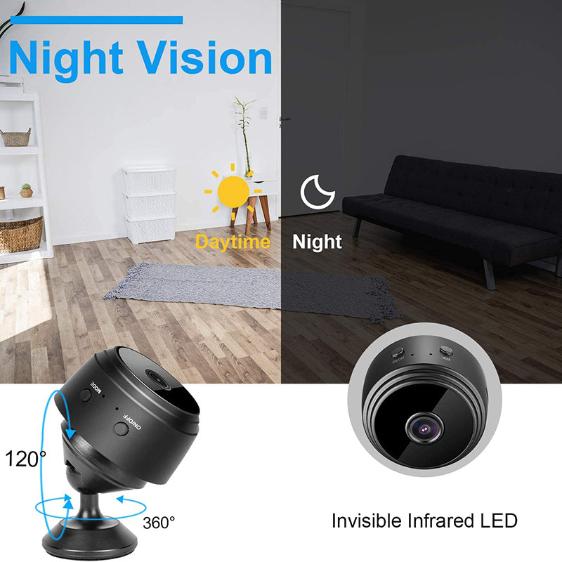 Spy your dog - mini camera