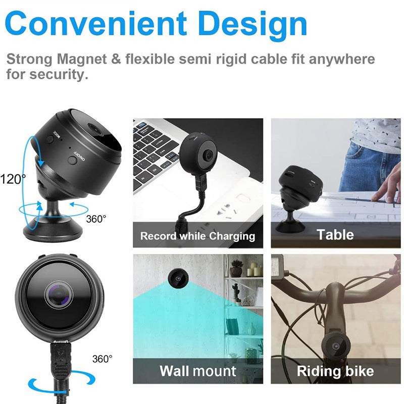 Spy your dog - mini camera