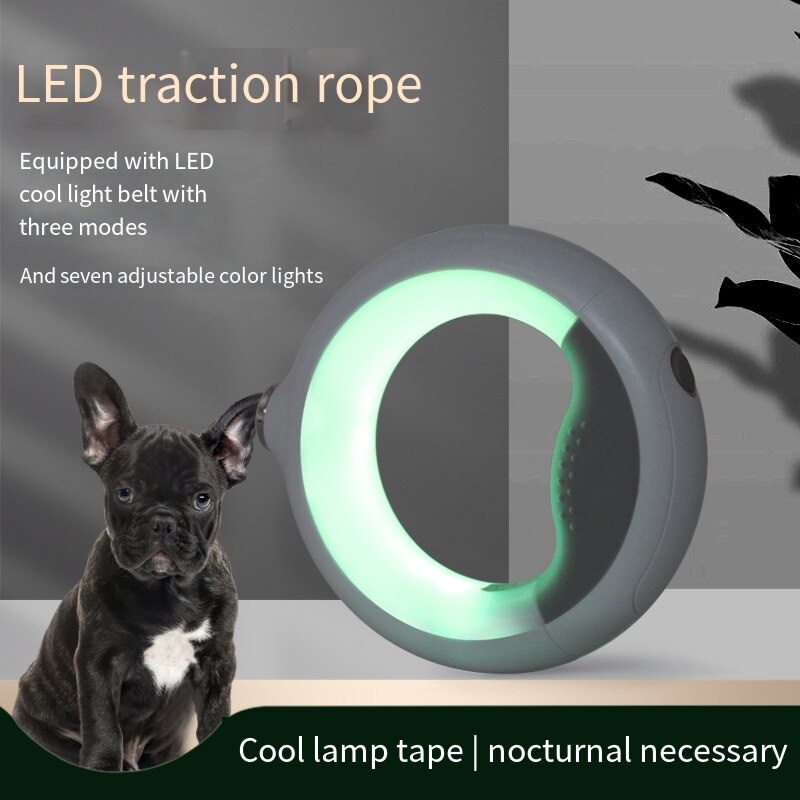 Magic Leash: Light your walks