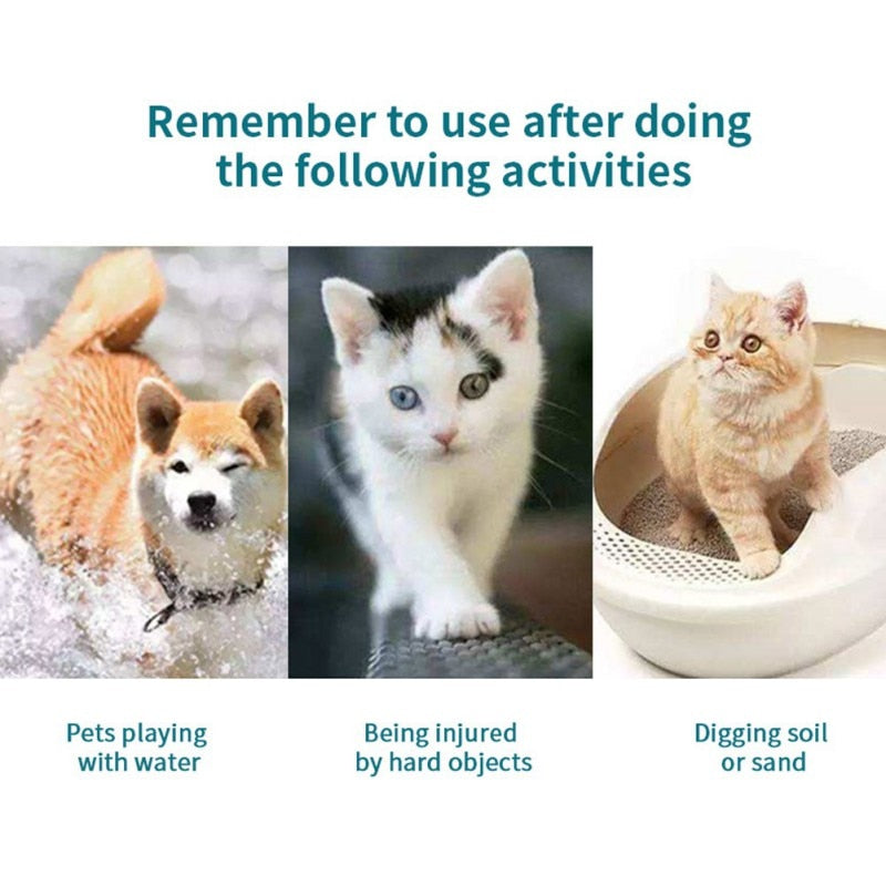 Paw Protective Balm