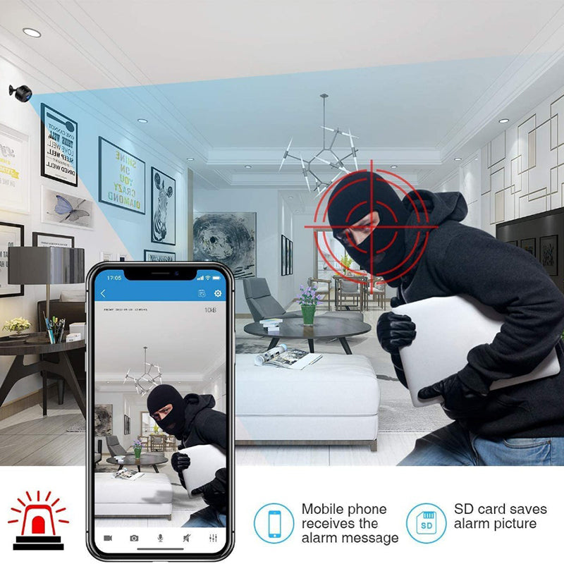 Spy your dog - mini camera