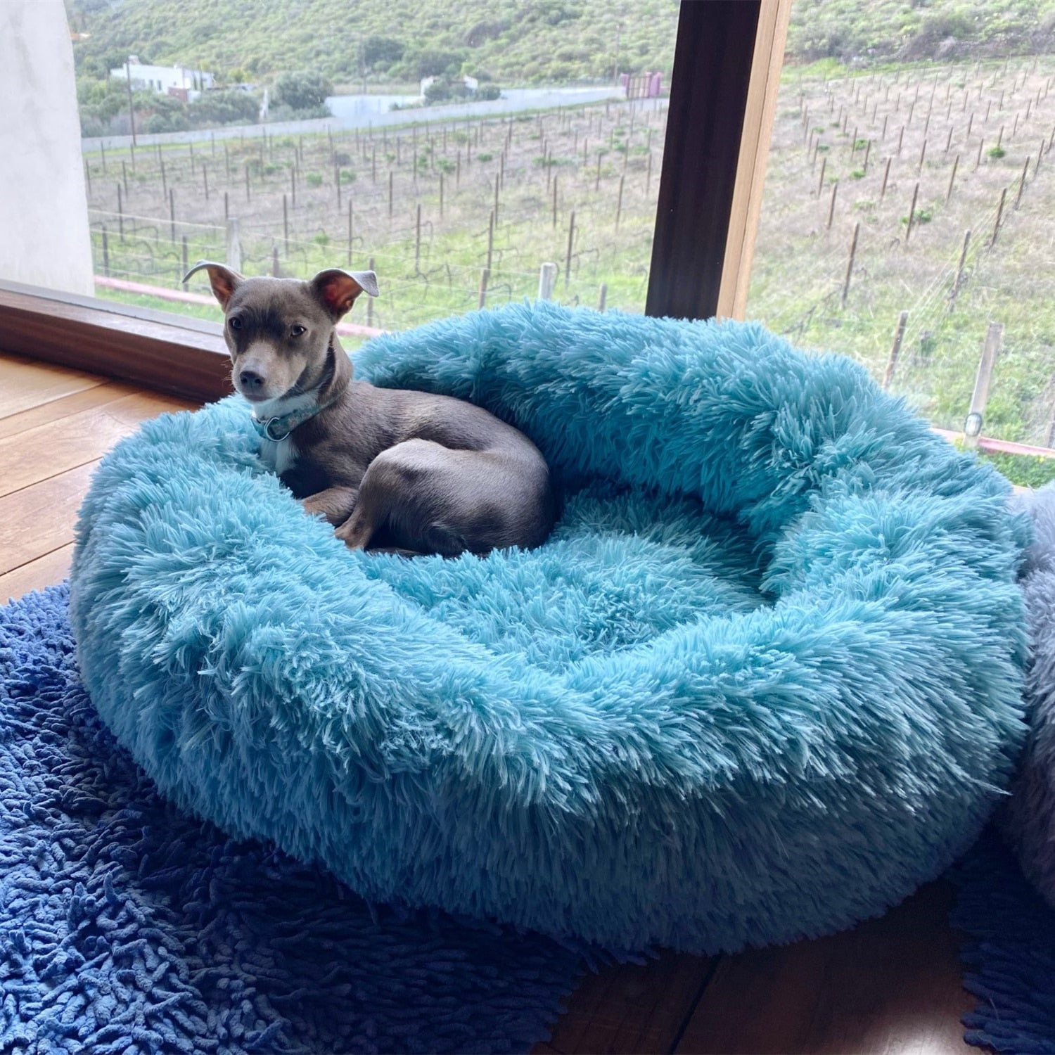 Fluffy: Dog calming bed