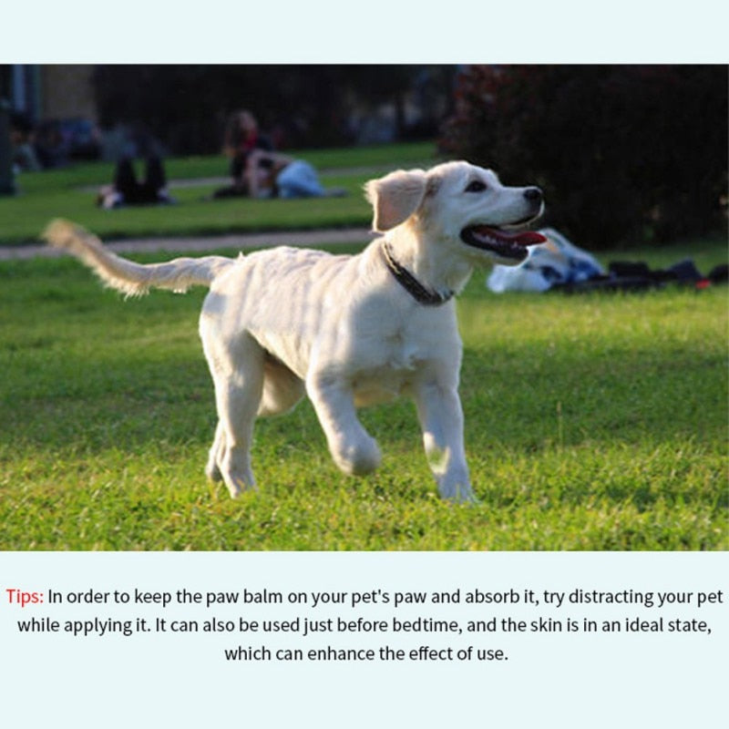 Paw Protective Balm