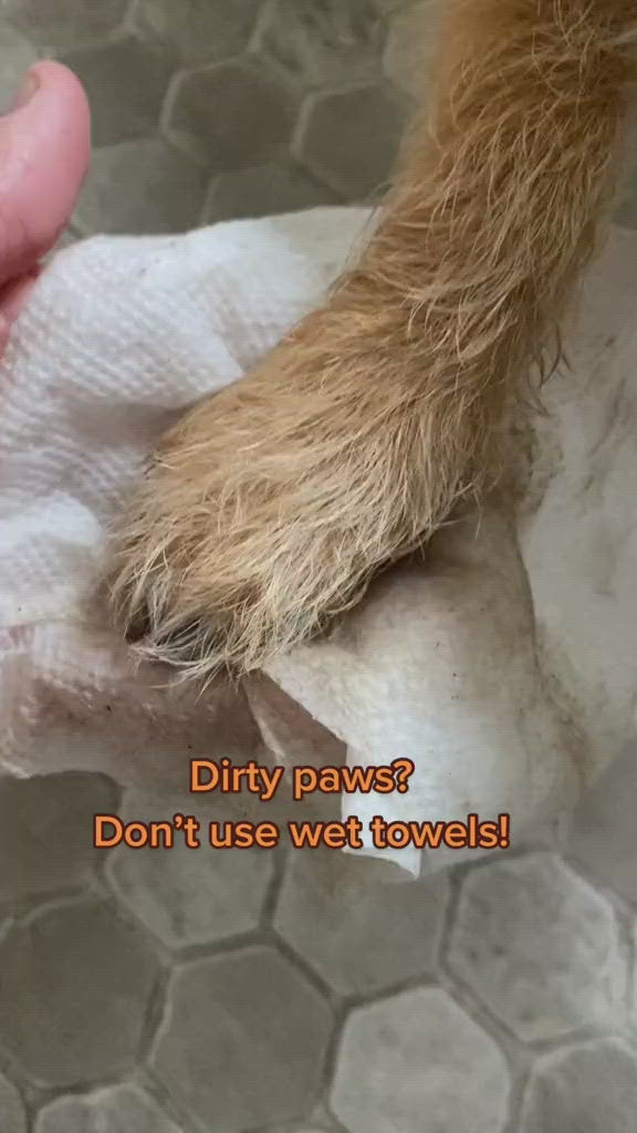 Magic Tubby™ - The best paw cleaner
