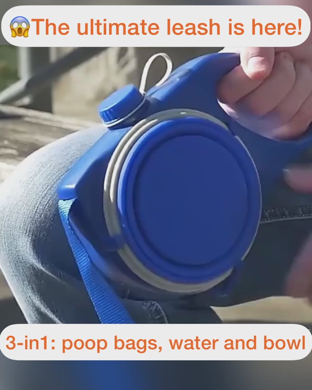 Cool Leash: all in one