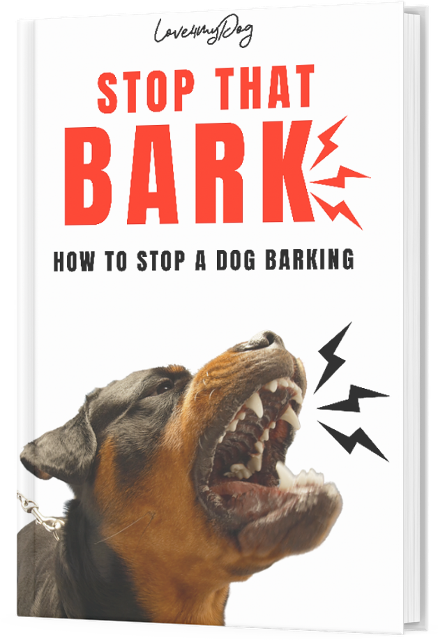 Stop That Bark: How To Stop A Dog Barking