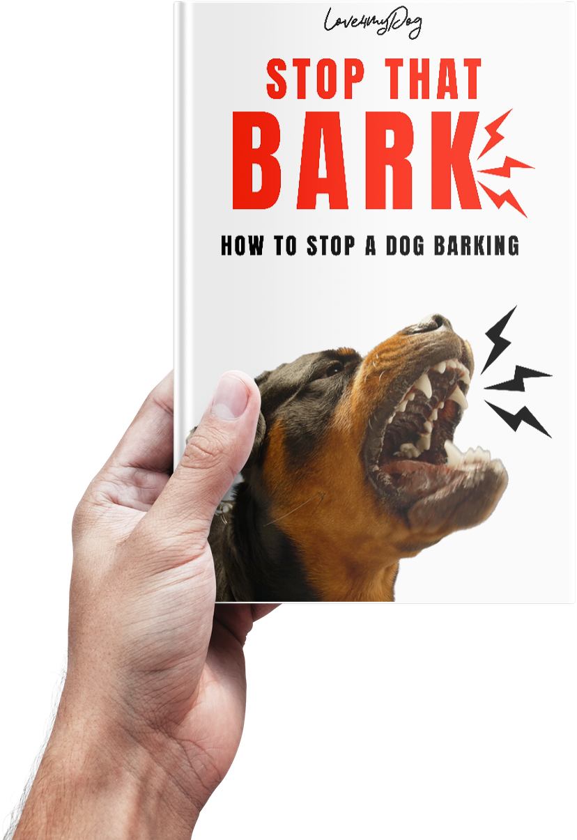 Stop That Bark: How To Stop A Dog Barking