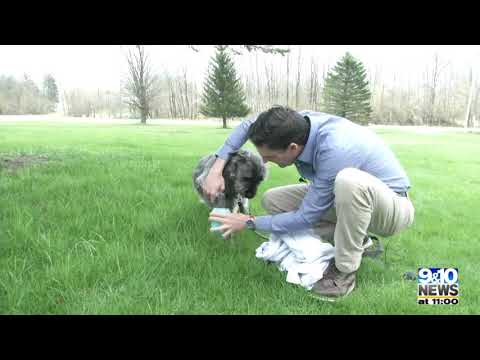 Magic Tubby™ - El mejor limpiador de patas