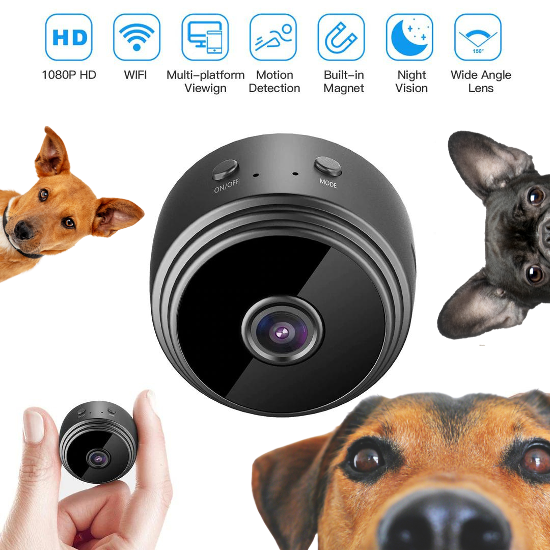 Spy your dog - mini camera