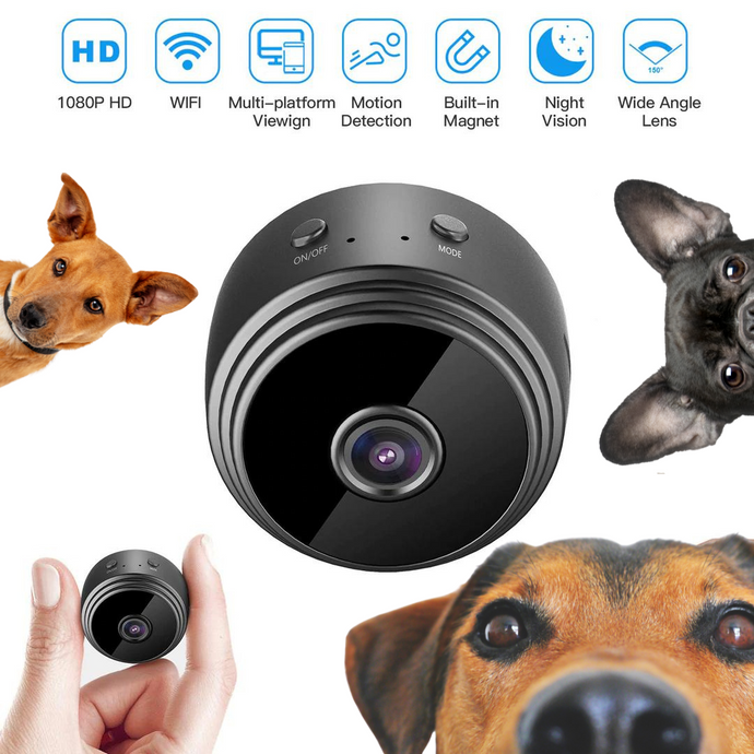 Spy your dog - mini camera