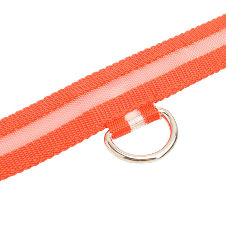 LEDDY collar: Life safer