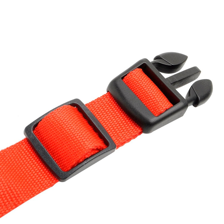 LEDDY collar: Life safer