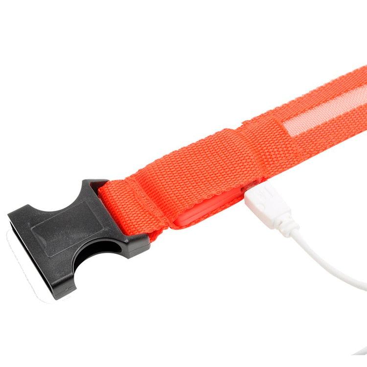 LEDDY collar: Life safer