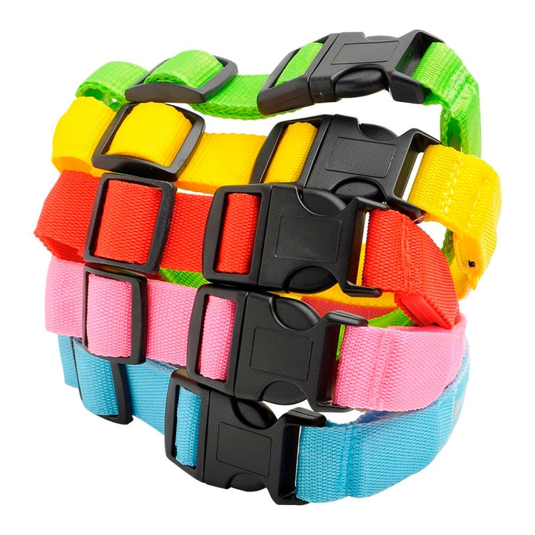 LEDDY collar: Life safer