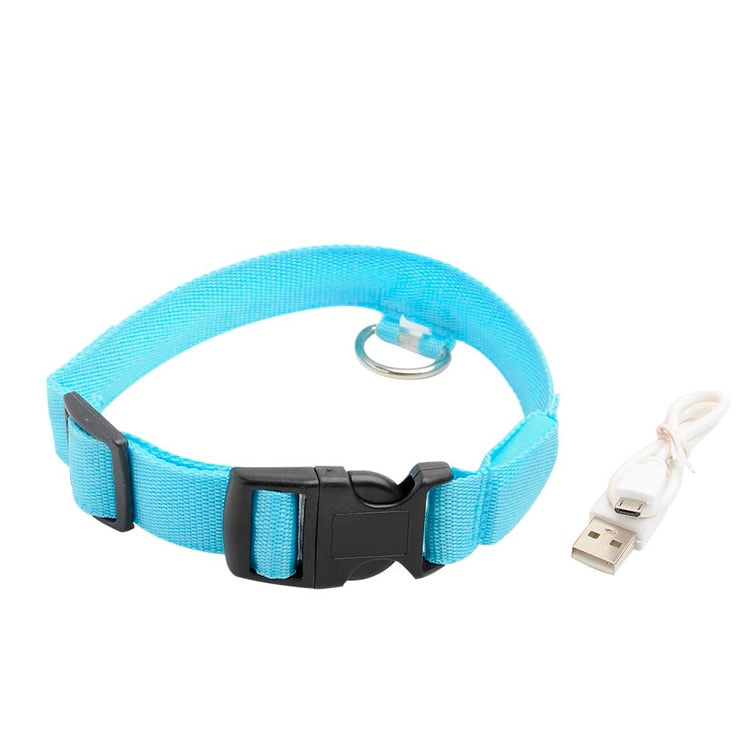 LEDDY collar: Life safer