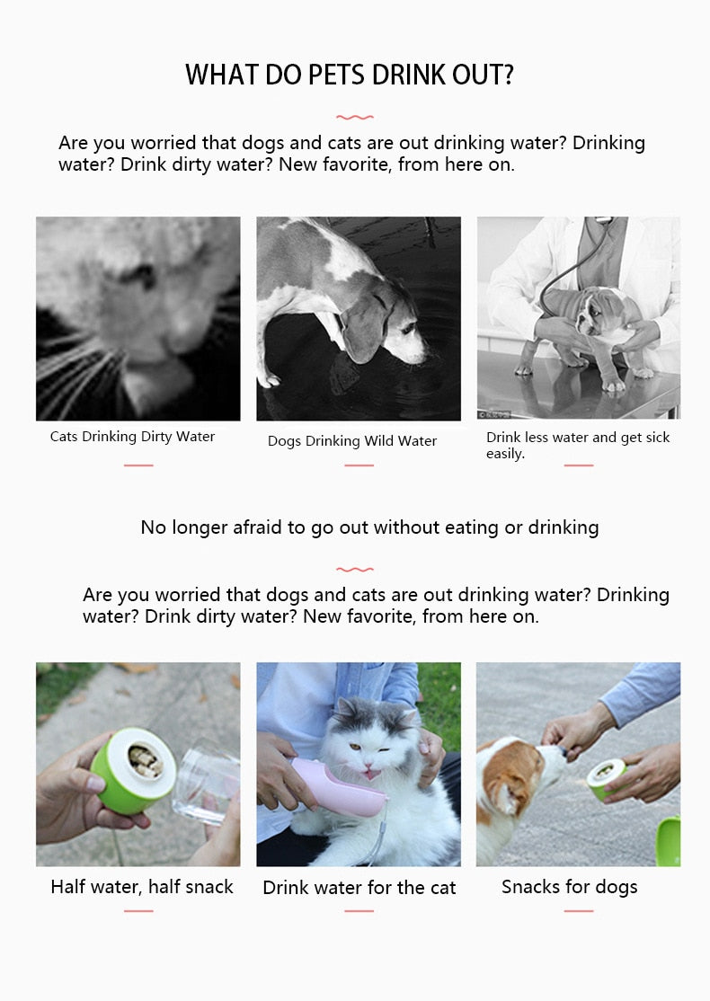 Magic Bottle: Food + Water