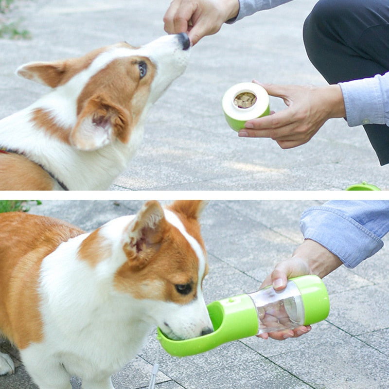 Magic Bottle: Food + Water