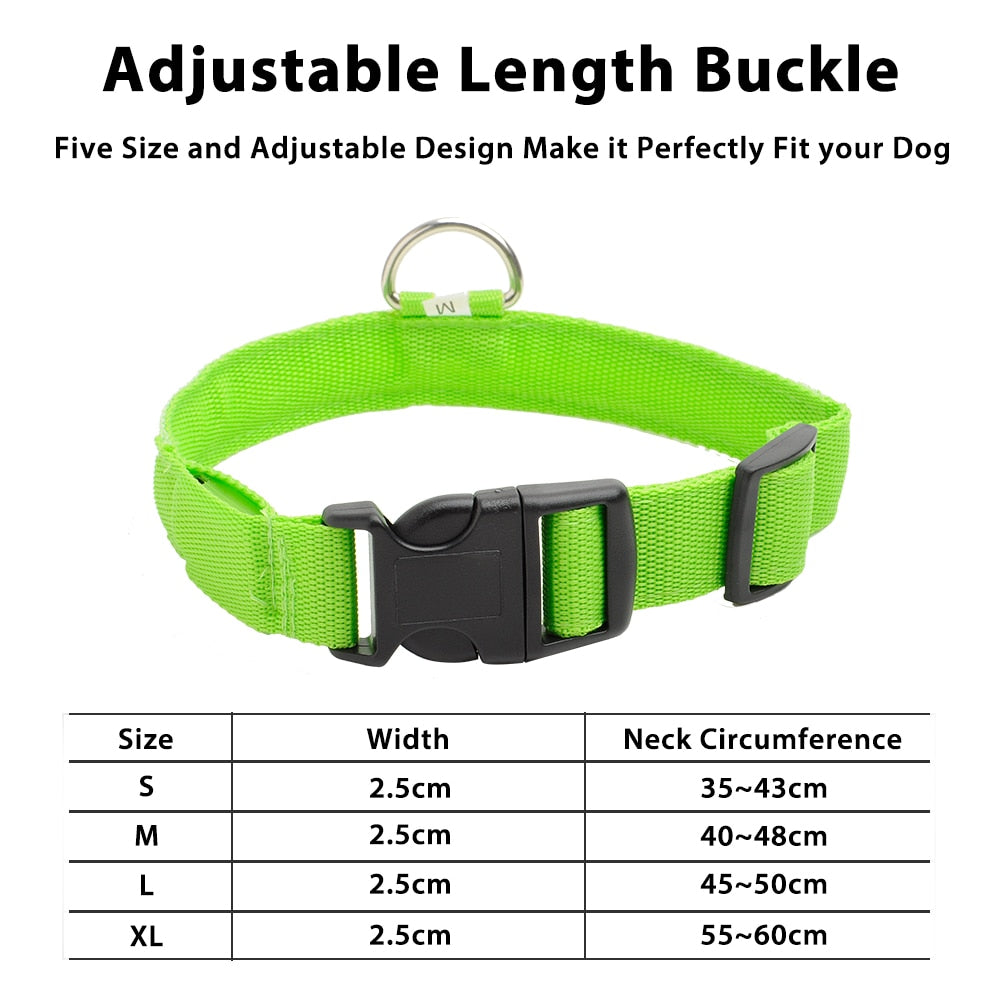 LEDDY collar: Life safer