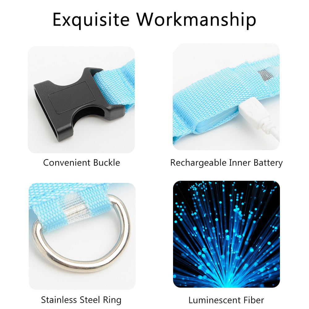 LEDDY collar: Life safer