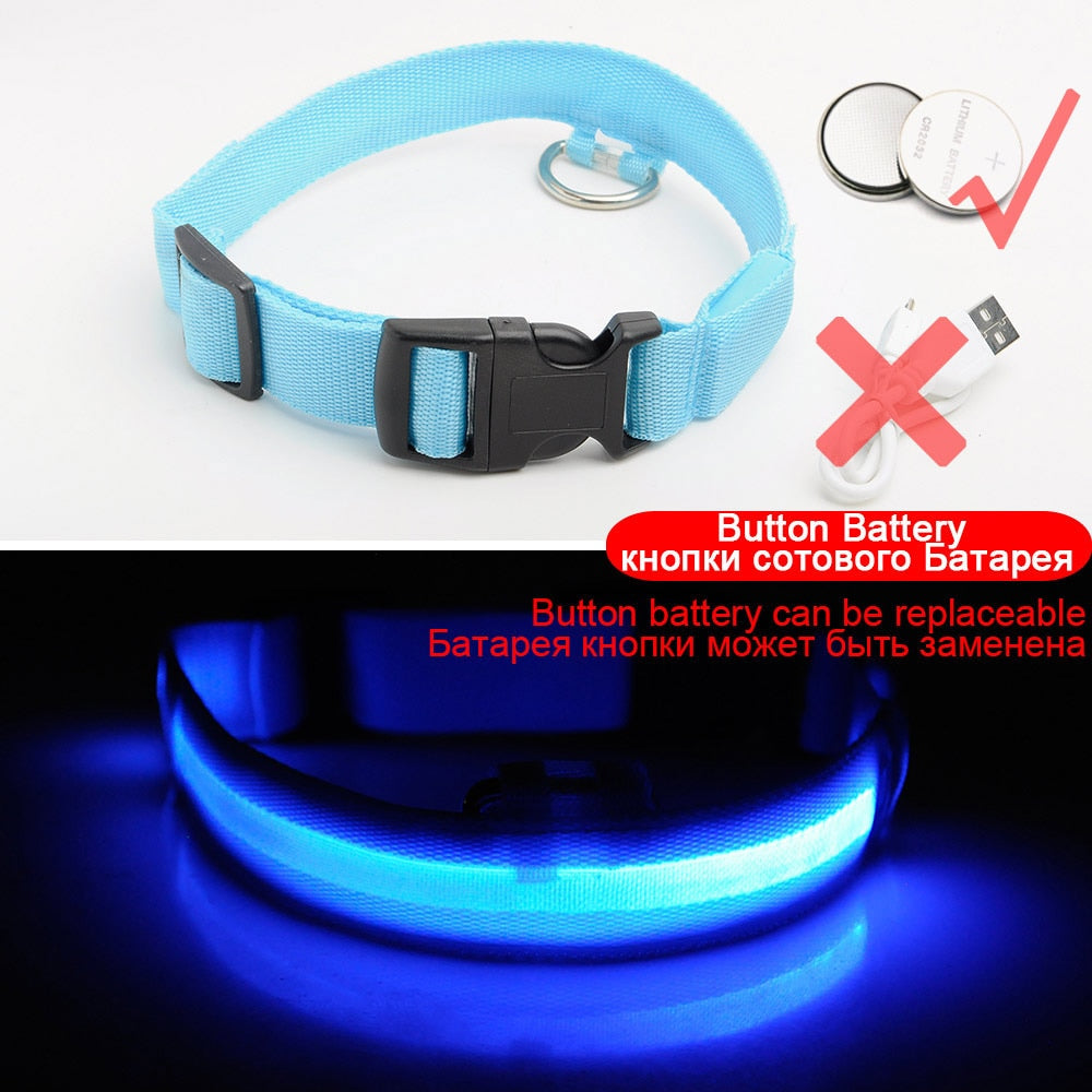 LEDDY collar: Life safer