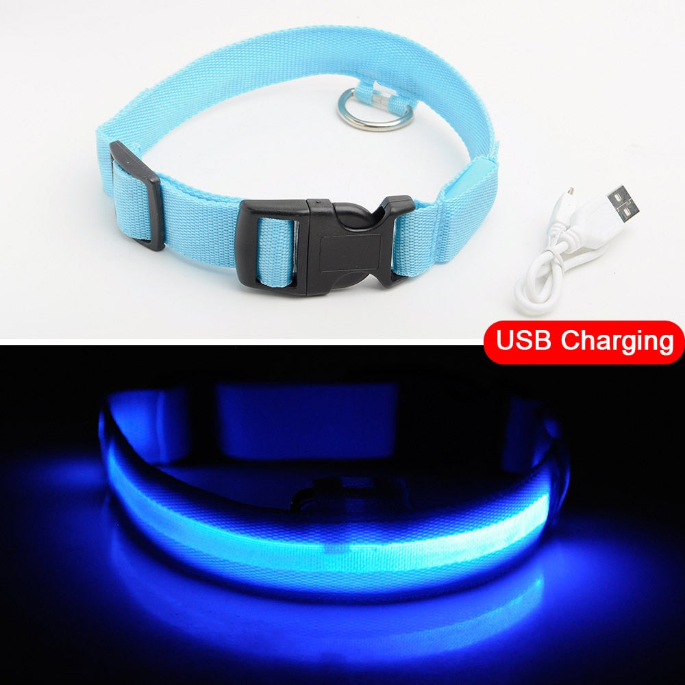 LEDDY collar: Life safer