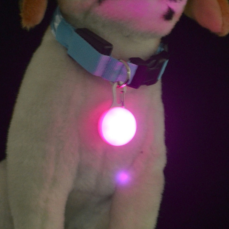 LEDDY™: Night walk collar life safer