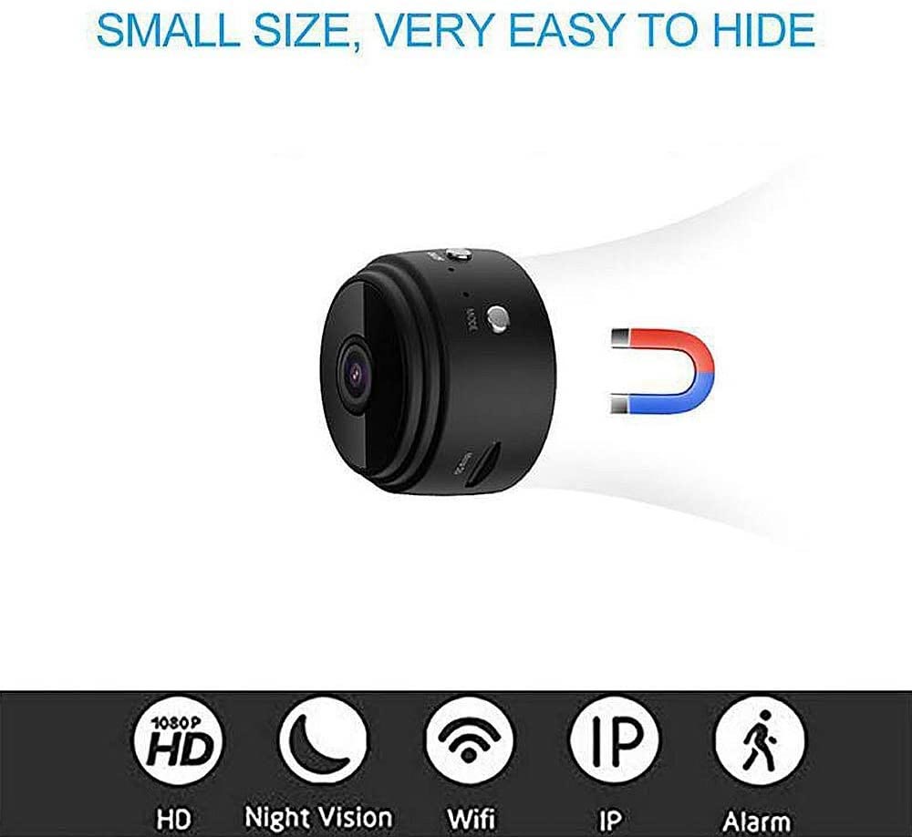 Spy your dog - mini camera