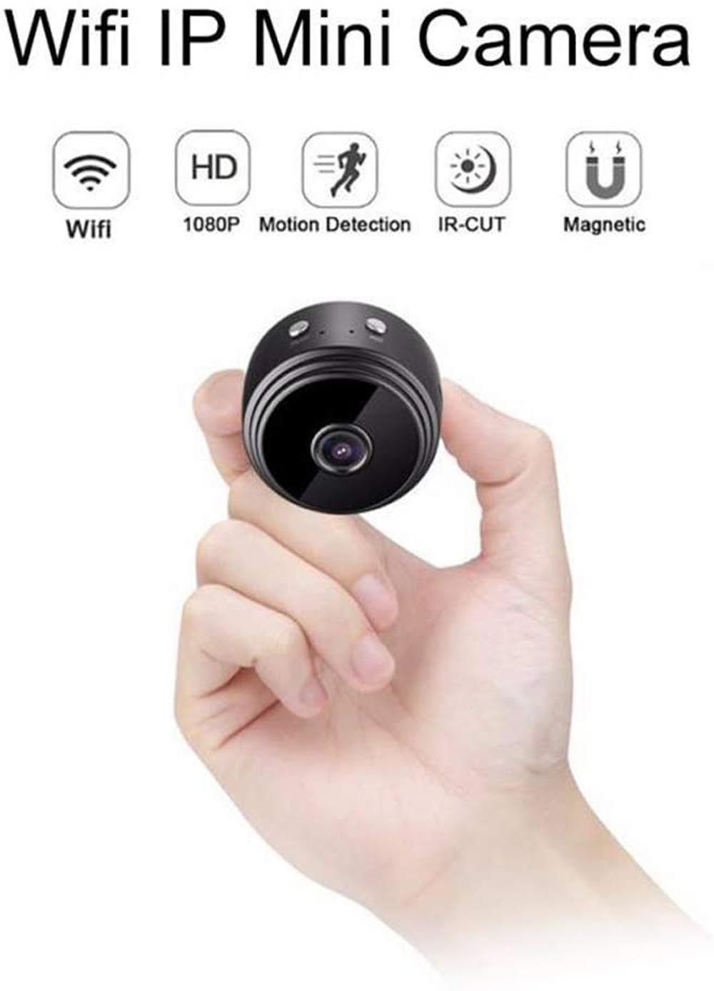 Spy your dog - mini camera