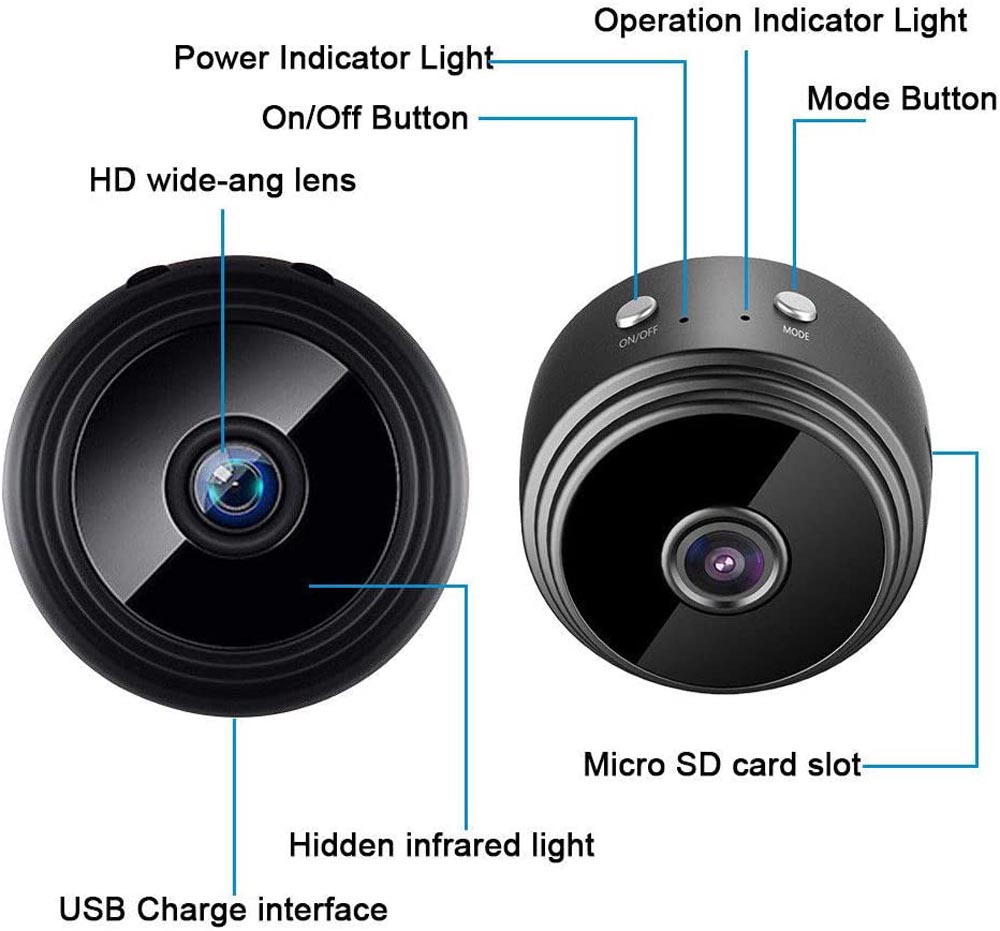 Spy your dog - mini camera