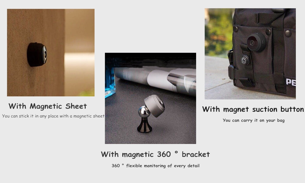 Spy your dog - mini camera