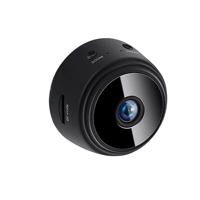 Spy your dog - mini camera