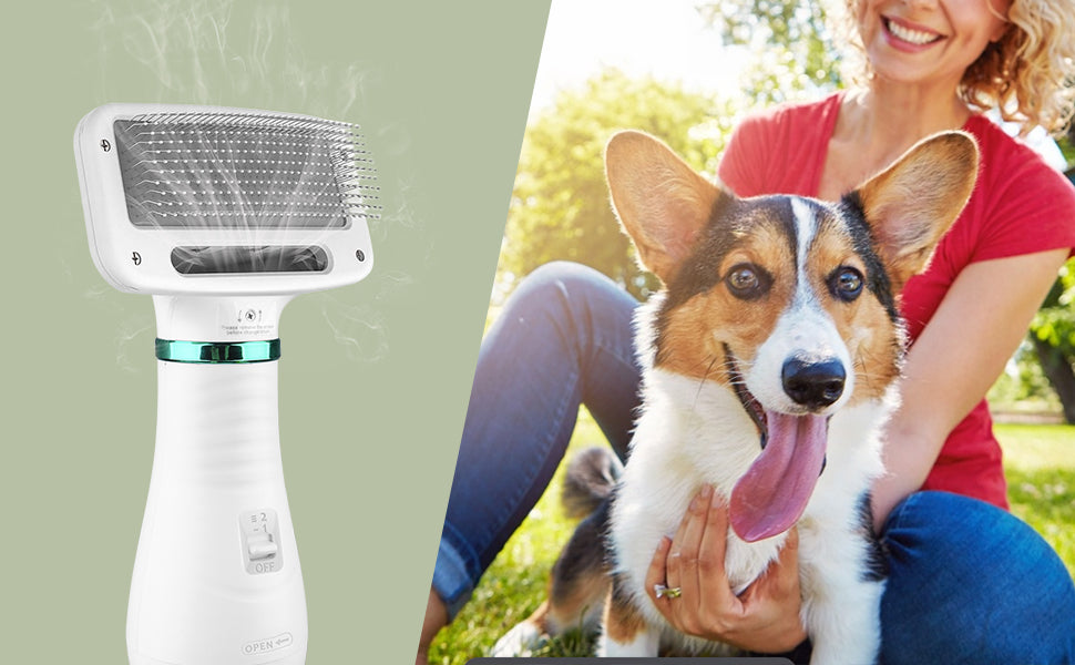 Magic Brushy: 2in1 Comb + Dryer