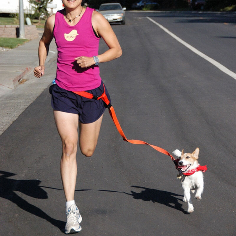 Traction Pulling Leash Jogging