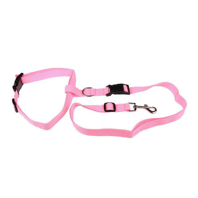 Traction Pulling Leash Jogging