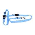 Traction Pulling Leash Jogging