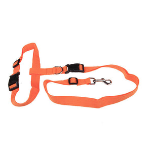 Traction Pulling Leash Jogging