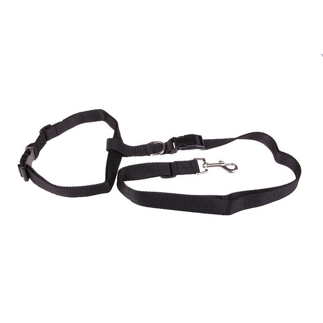 Traction Pulling Leash Jogging