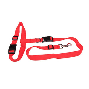 Traction Pulling Leash Jogging