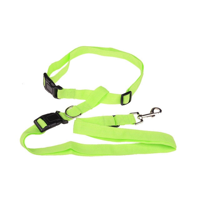 Traction Pulling Leash Jogging
