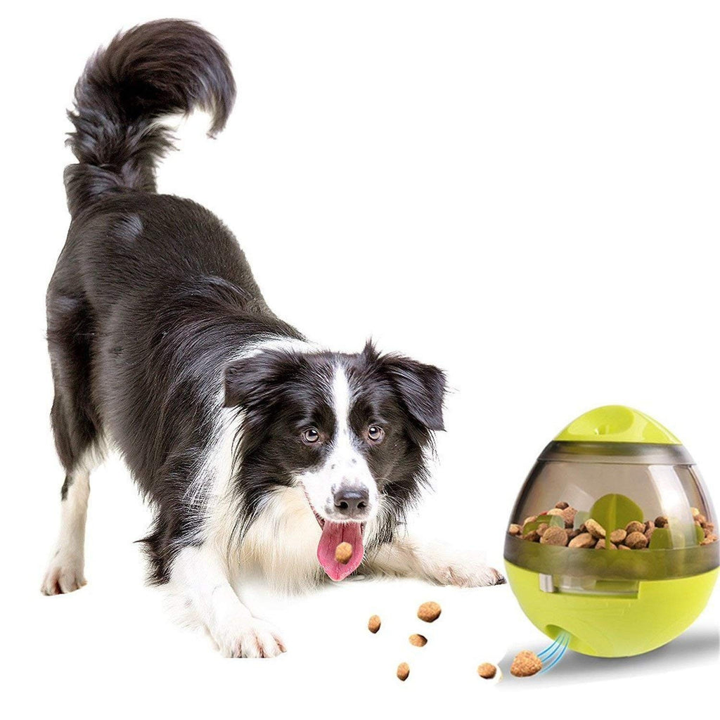 Magic Treat Ball