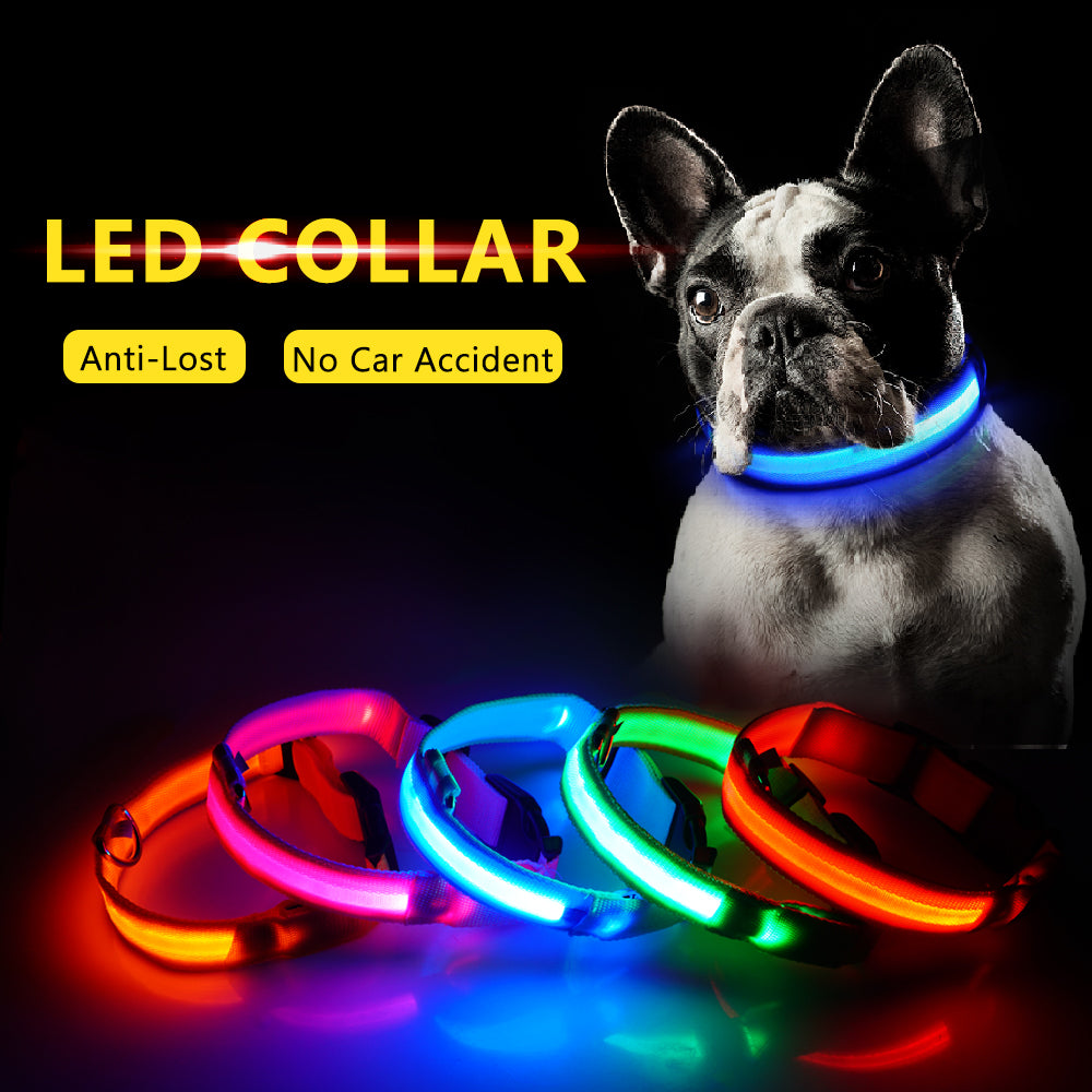 LEDDY collar: Life safer
