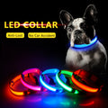 Collar LEDDY: Vida más segura