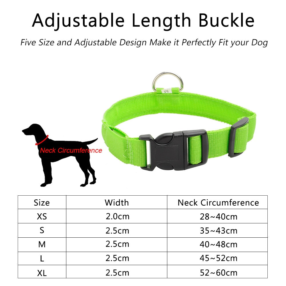 LEDDY collar: Life safer