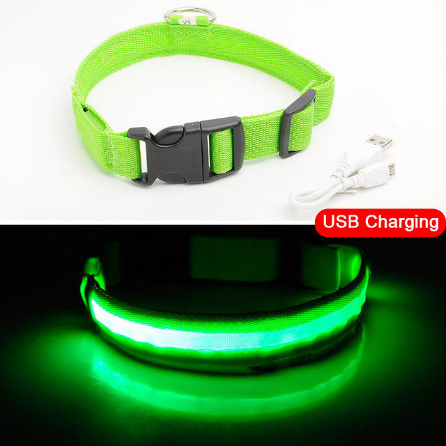 LEDDY collar: Life safer