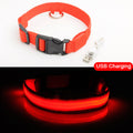 LEDDY collar: Life safer