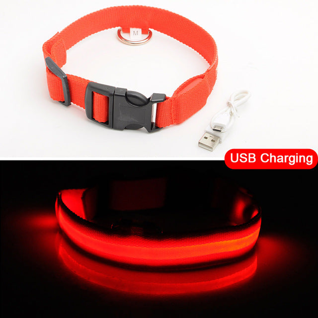 LEDDY collar: Life safer