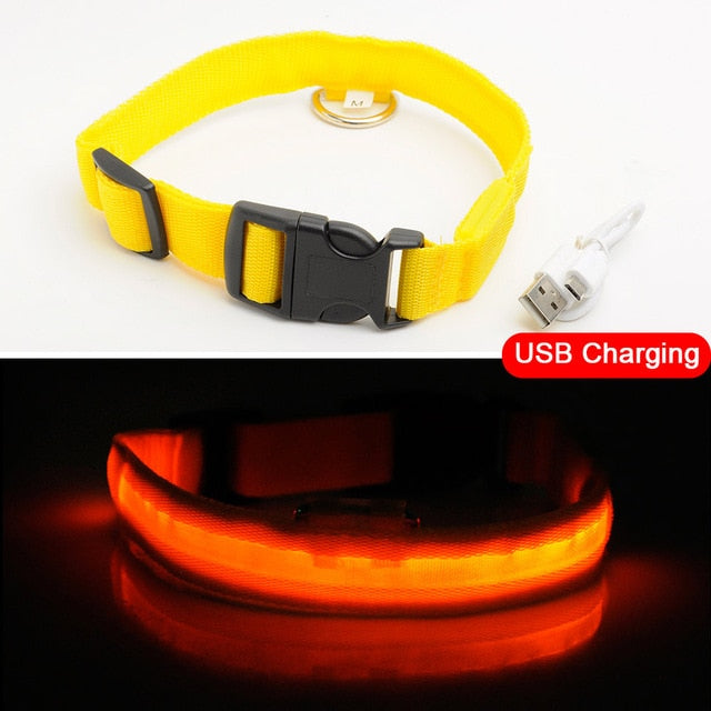 LEDDY collar: Life safer